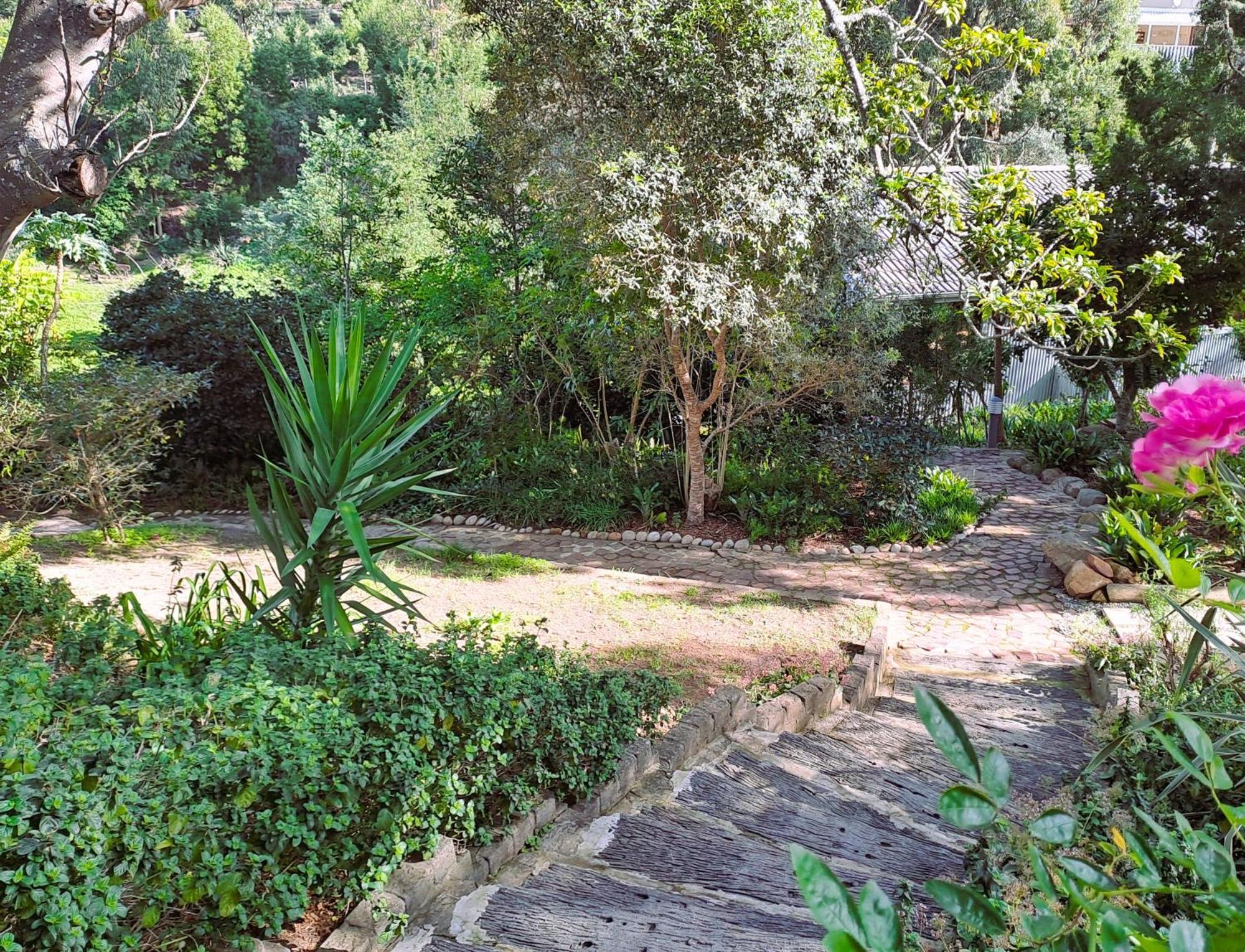 Badger'S Cottage Knysna Exterior photo